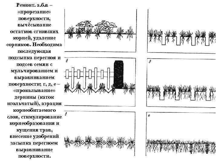 Ремонт. а. б. в – «прорезание» поверхности, вычёсывание остатков сгнивших корней, удаление сорняков. Необходима