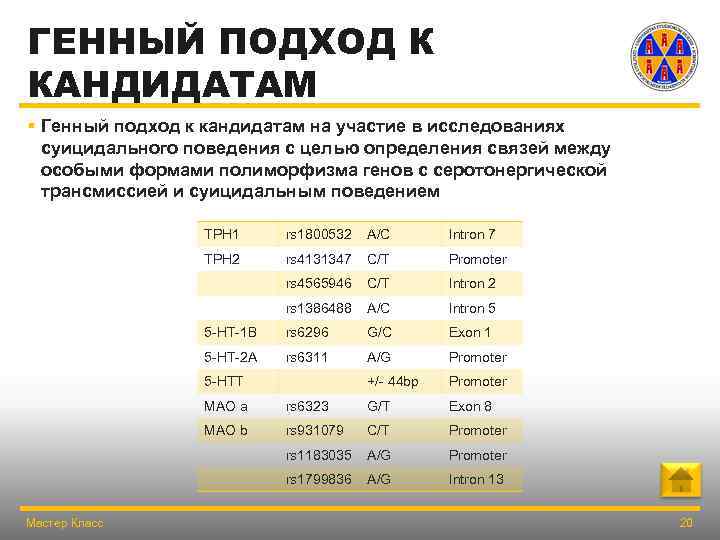 ГЕННЫЙ ПОДХОД К КАНДИДАТАМ § Генный подход к кандидатам на участие в исследованиях суицидального