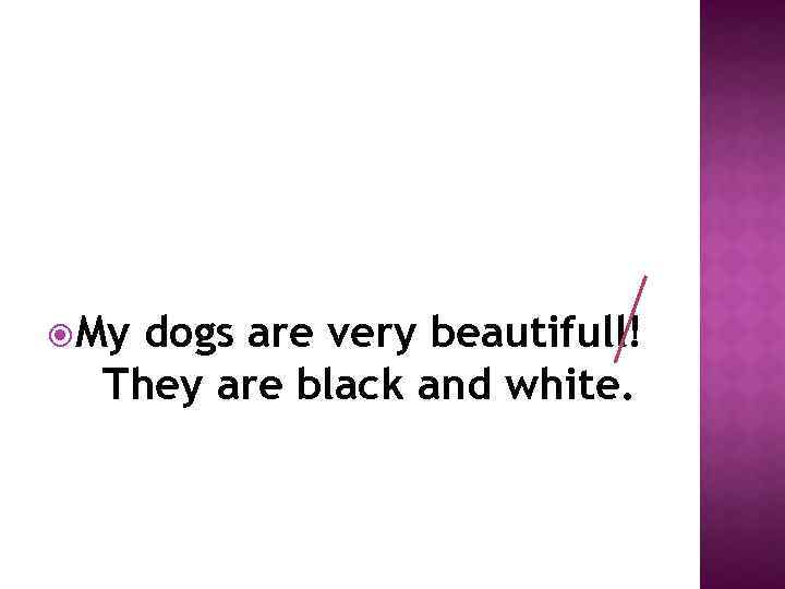  My dogs are very beautifull! They are black and white. 