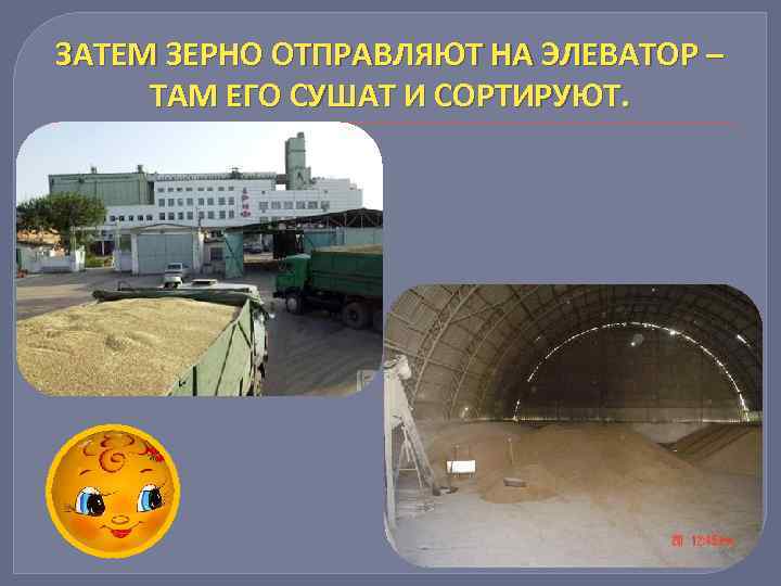 ЗАТЕМ ЗЕРНО ОТПРАВЛЯЮТ НА ЭЛЕВАТОР – ТАМ ЕГО СУШАТ И СОРТИРУЮТ. 