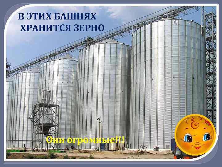В ЭТИХ БАШНЯХ ХРАНИТСЯ ЗЕРНО Они огромные!!! 
