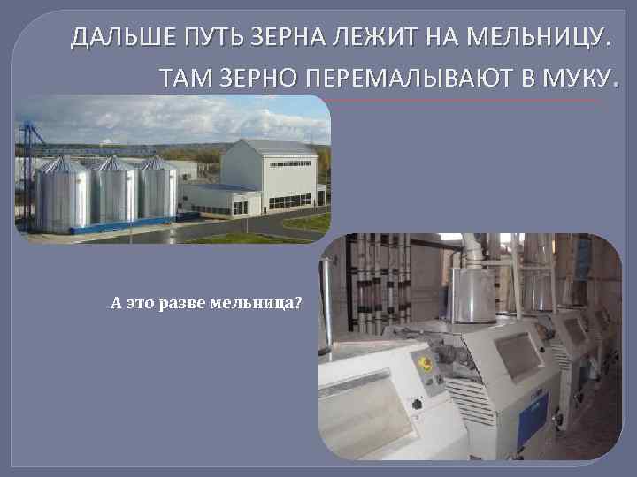 ДАЛЬШЕ ПУТЬ ЗЕРНА ЛЕЖИТ НА МЕЛЬНИЦУ. ТАМ ЗЕРНО ПЕРЕМАЛЫВАЮТ В МУКУ. А это разве