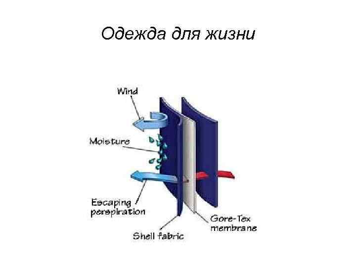 Одежда для жизни 