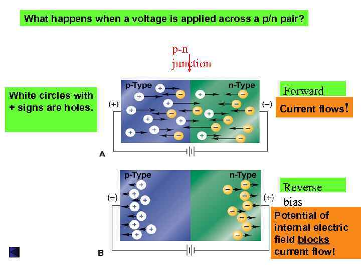 What happens when a voltage is applied across a p/n pair? p-n junction White