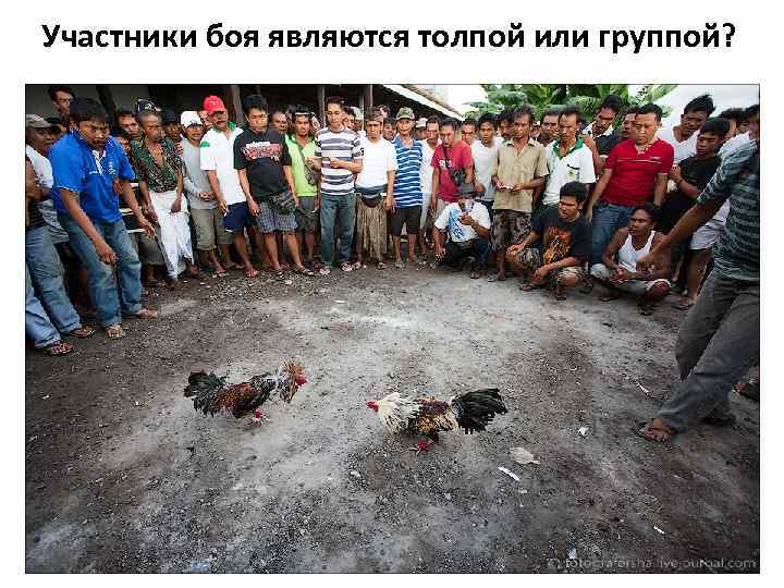 Участники боя являются толпой или группой? 