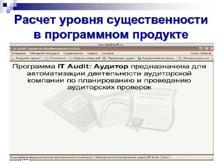 Расчет уровня существенности в программном продукте 