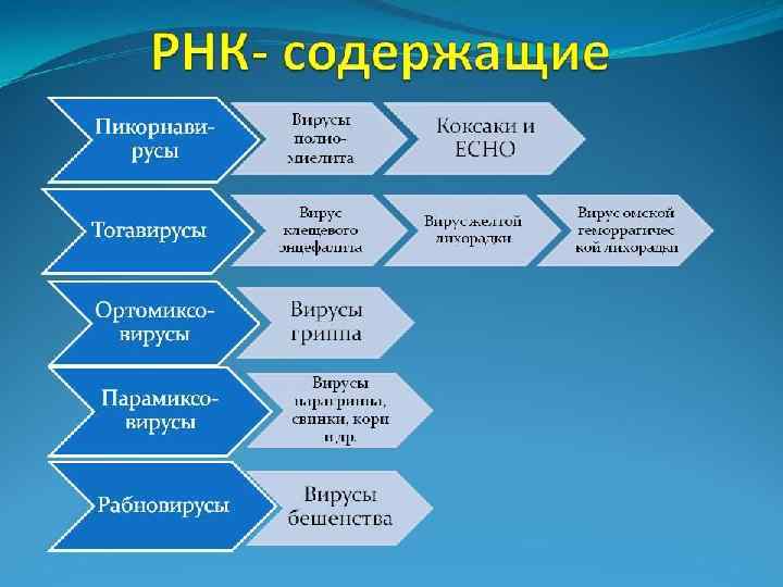 Туа пайда болған иммунитет механикалық физико-химиялық иммунобиологиялық 