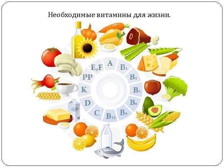 Необходимые витамины для жизни. 