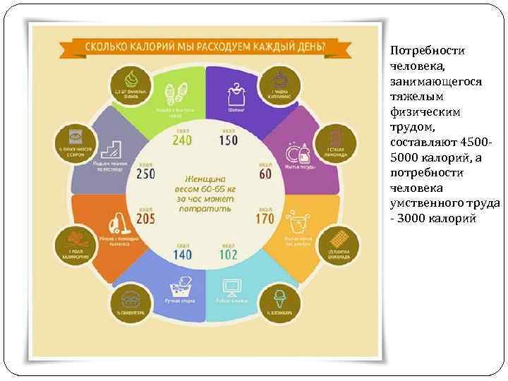 Как тратятся калории. Сколько калорий потребляет человек животных пирамида. Сколько людей в России занимаются тяжелым трудом. Сколько тратишь калорий в аквапарке. Сколько мозг потребляет калорий в сутки.
