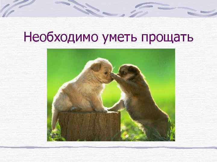 Необходимо уметь прощать 