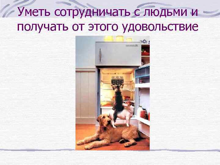 Уметь сотрудничать с людьми и получать от этого удовольствие 