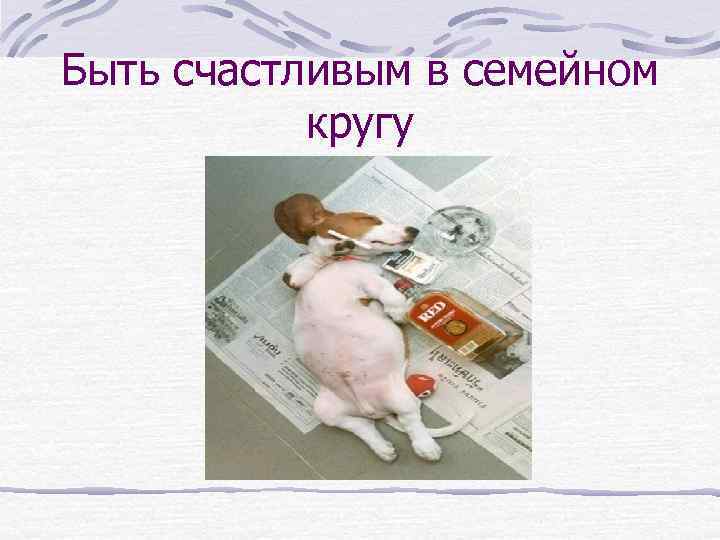 Быть счастливым в семейном кругу 