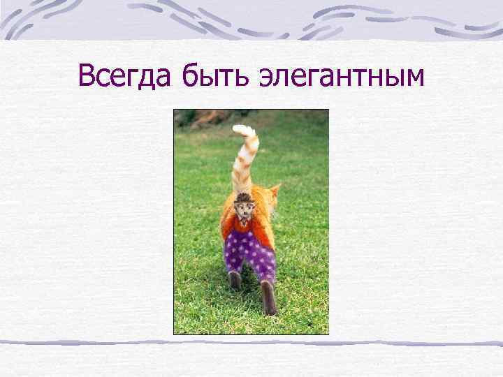 Всегда быть элегантным 