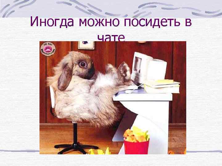 Иногда можно посидеть в чате 