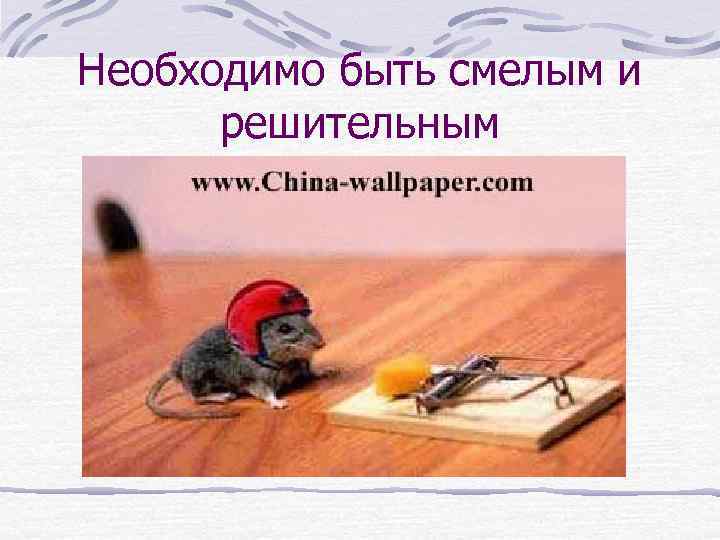 Необходимо быть смелым и решительным 