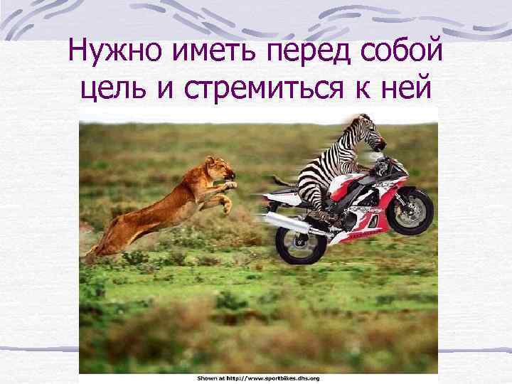 Нужно иметь перед собой цель и стремиться к ней 