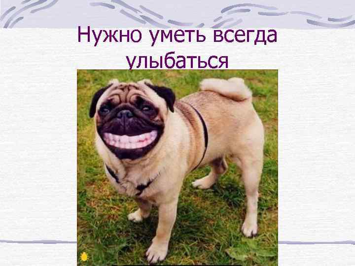 Нужно уметь всегда улыбаться 