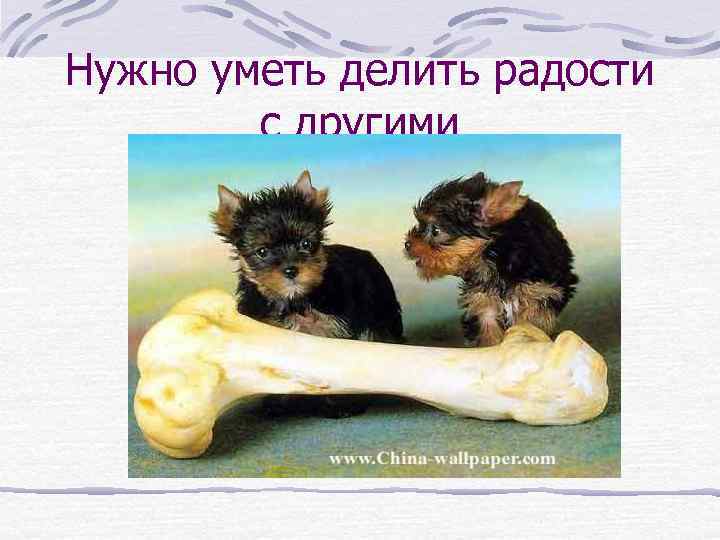 Нужно уметь делить радости с другими 