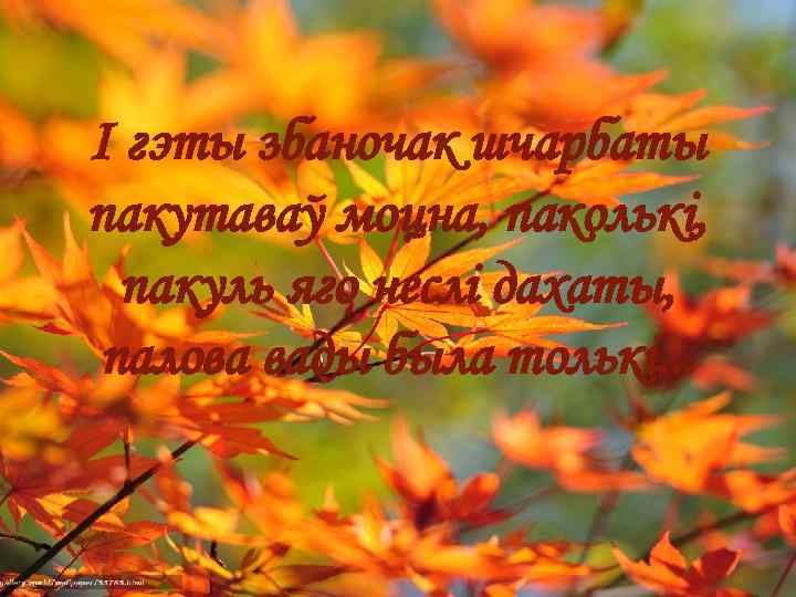 І гэты збаночак шчарбаты пакутаваў моцна, паколькі, пакуль яго неслі дахаты, палова вады была