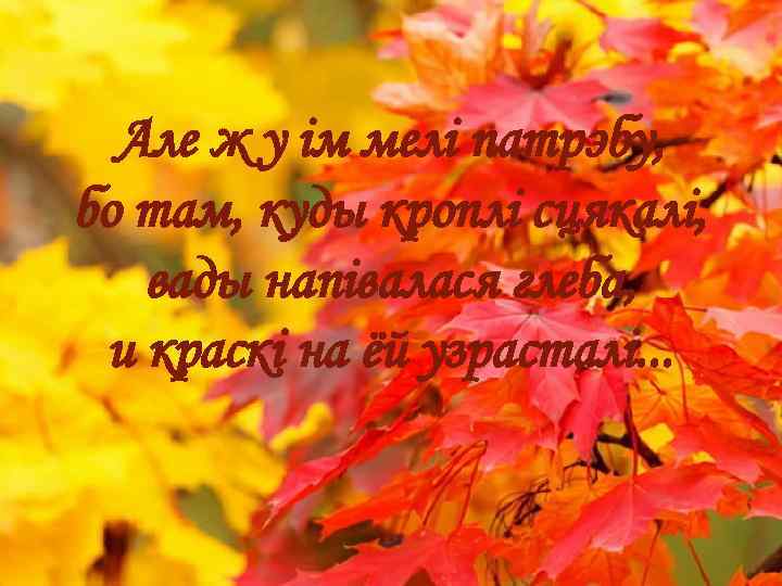 Але ж у ім мелі патрэбу, бо там, куды кроплі сцякалі, вады напівалася глеба,