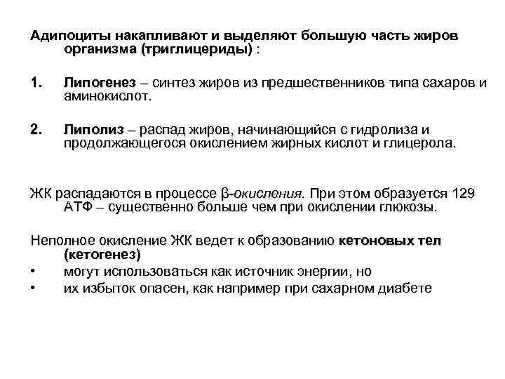 Адипоциты накапливают и выделяют большую часть жиров организма (триглицериды) : 1. Липогенез – синтез