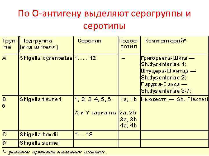 По О-антигену выделяют серогруппы и серотипы 