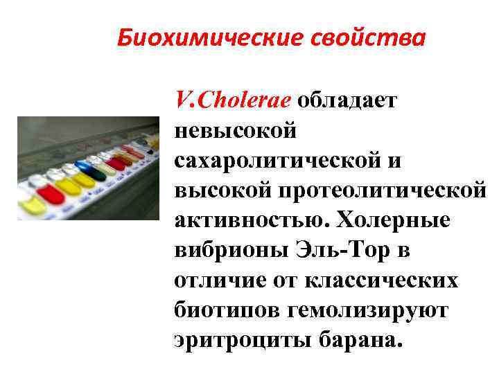 Биохимические свойства V. Cholerae обладает невысокой сахаролитической и высокой протеолитической активностью. Холерные вибрионы Эль-Тор