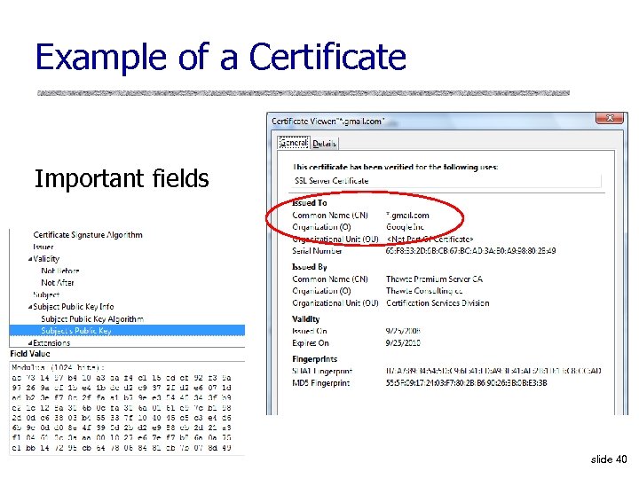 Example of a Certificate Important fields slide 40 