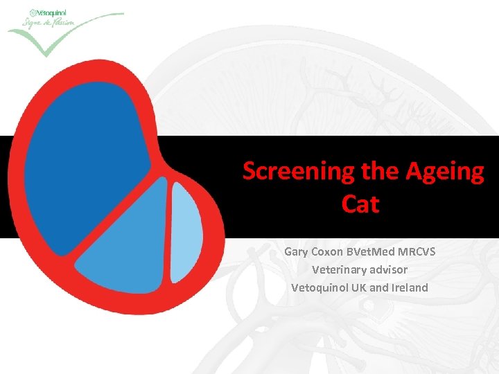 Screening the Ageing Cat Gary Coxon BVet. Med MRCVS Veterinary advisor Vetoquinol UK and