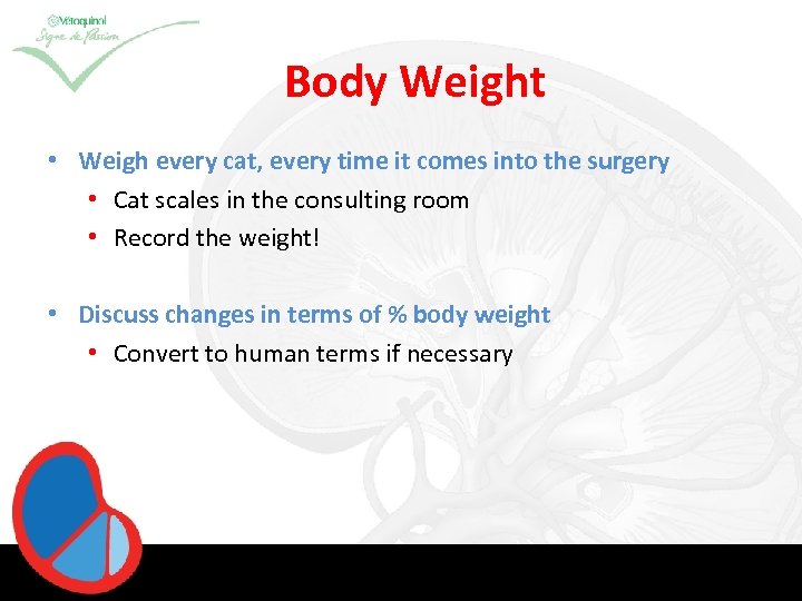 Body Weight • Weigh every cat, every time it comes into the surgery •