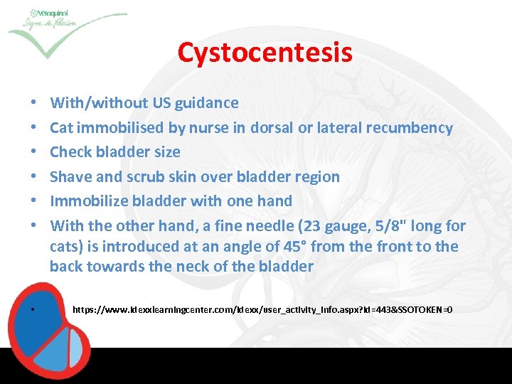 Cystocentesis • • With/without US guidance Cat immobilised by nurse in dorsal or lateral