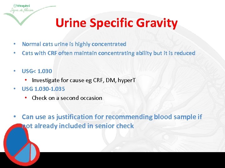 Urine Specific Gravity • Normal cats urine is highly concentrated • Cats with CRF