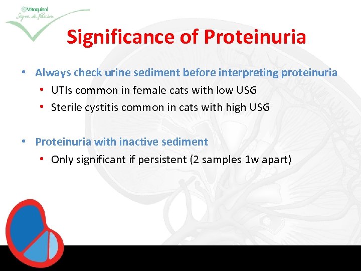 Significance of Proteinuria • Always check urine sediment before interpreting proteinuria • UTIs common