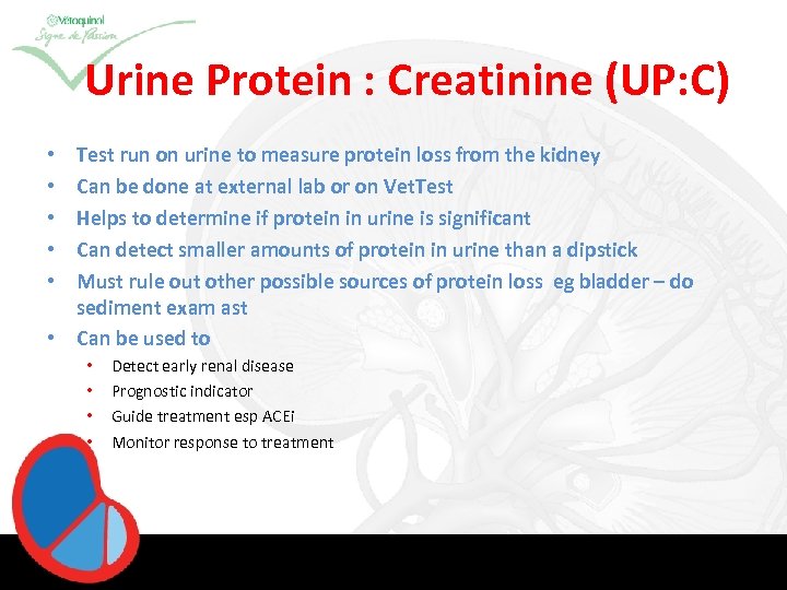 Urine Protein : Creatinine (UP: C) Test run on urine to measure protein loss