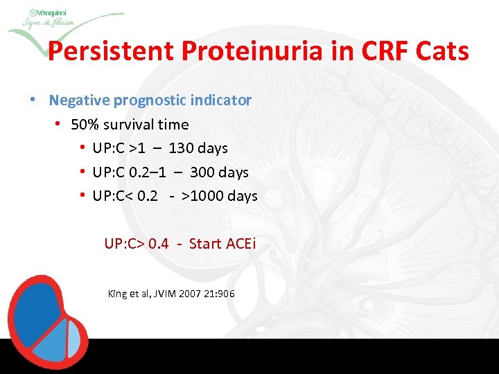 Persistent Proteinuria in CRF Cats • Negative prognostic indicator • 50% survival time •