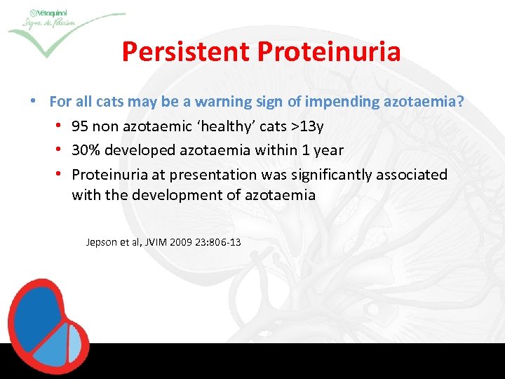 Persistent Proteinuria • For all cats may be a warning sign of impending azotaemia?