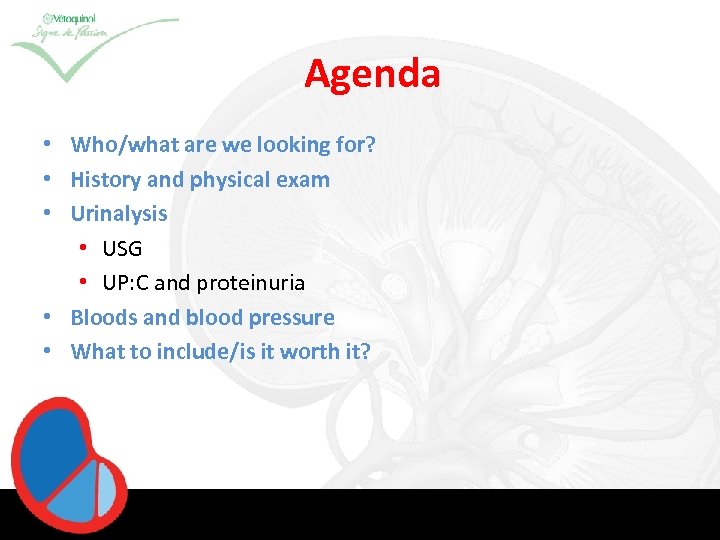 Agenda • Who/what are we looking for? • History and physical exam • Urinalysis