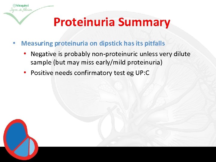 Proteinuria Summary • Measuring proteinuria on dipstick has its pitfalls • Negative is probably