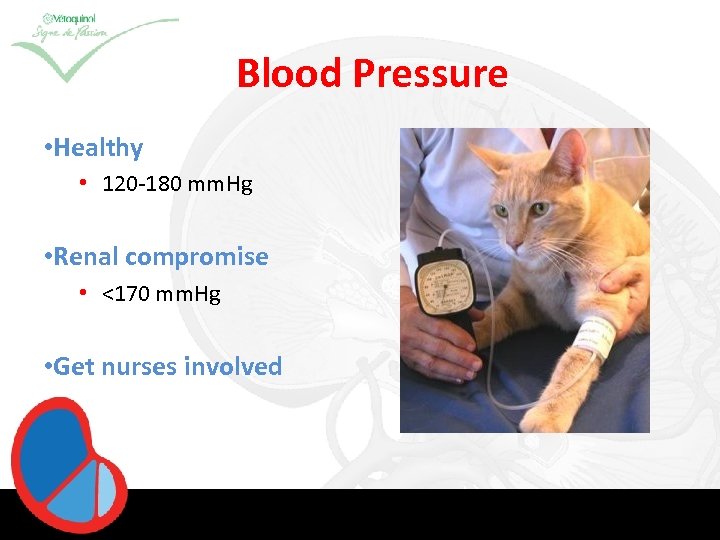 Blood Pressure • Healthy • 120 -180 mm. Hg • Renal compromise • <170