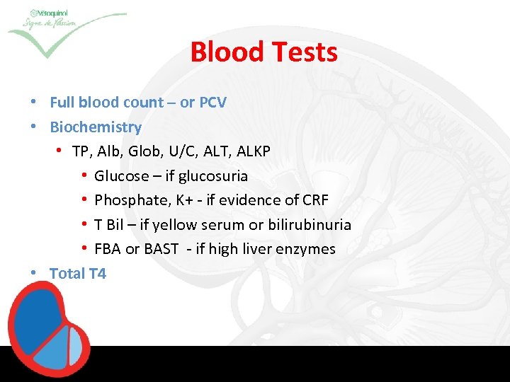 Blood Tests • Full blood count – or PCV • Biochemistry • TP, Alb,