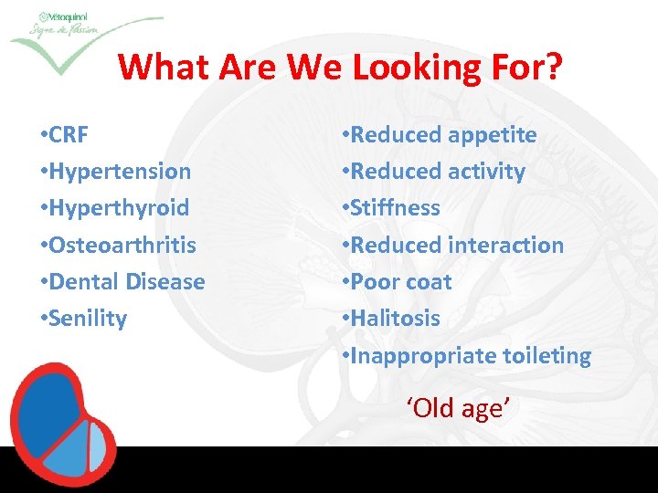 What Are We Looking For? • CRF • Hypertension • Hyperthyroid • Osteoarthritis •