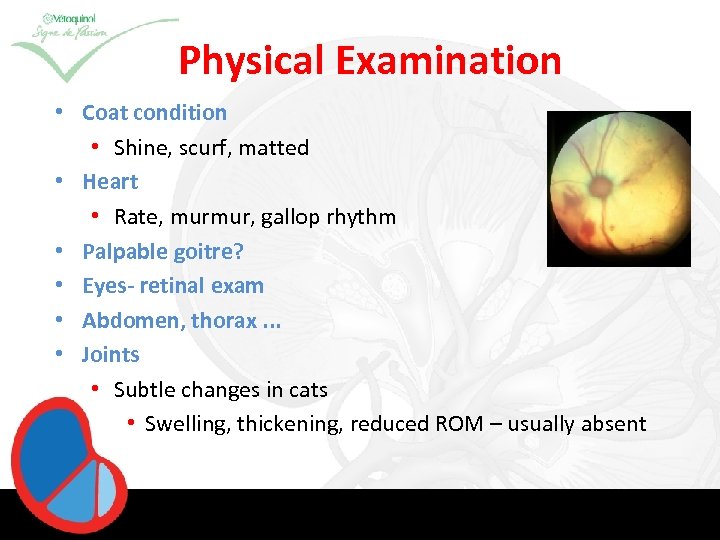 Physical Examination • Coat condition • Shine, scurf, matted • Heart • Rate, murmur,