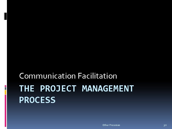 Communication Facilitation THE PROJECT MANAGEMENT PROCESS Other Processes 30 