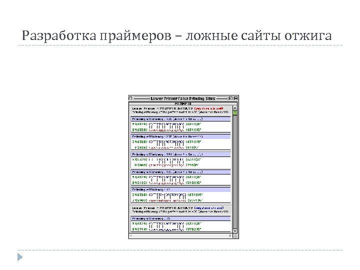 Разработка праймеров – ложные сайты отжига 