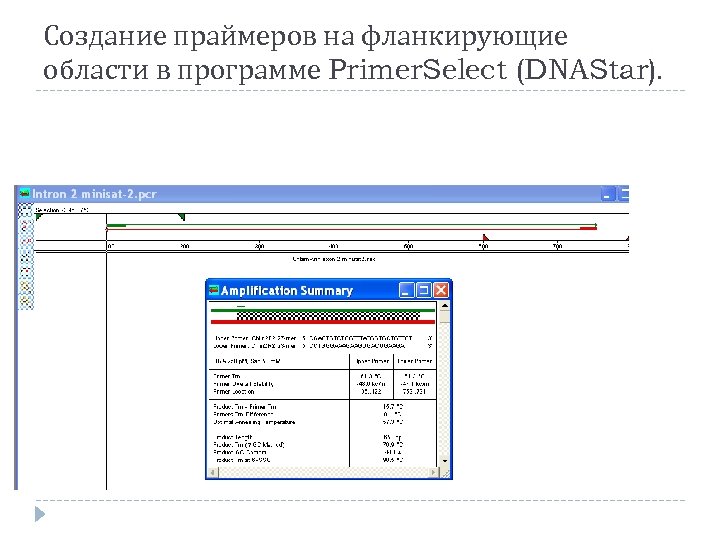 Создание праймеров на фланкирующие области в программе Primer. Select (DNAStar). 