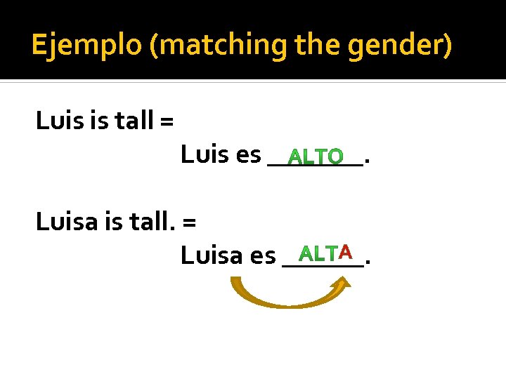 Ejemplo (matching the gender) Luis is tall = Luis es _______. Luisa is tall.