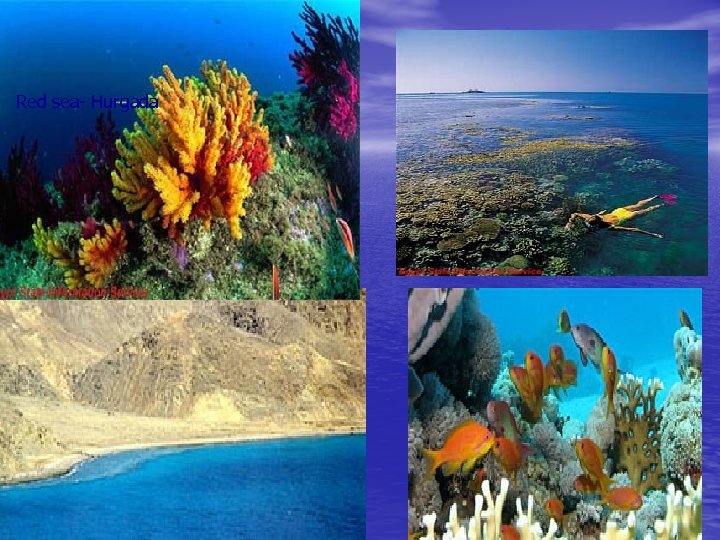 Red sea- Hurgada 