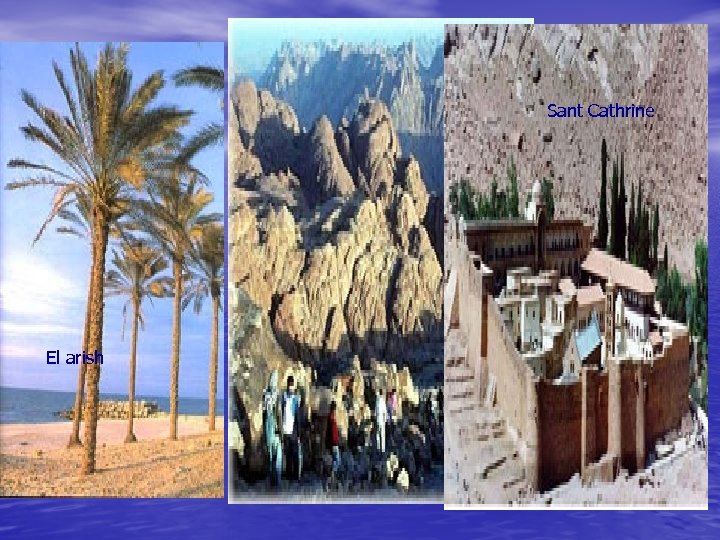 Sant Cathrine El arish 