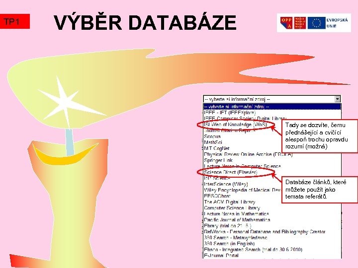 TP 1 VÝBĚR DATABÁZE Tady se dozvíte, čemu přednášející a cvičící alespoň trochu opravdu