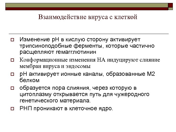 Взаимодействие вируса с клеткой o o o Изменение р. Н в кислую сторону активирует